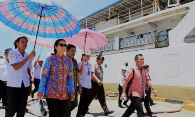 Terbengkalai sejak 2010, Pembangunan PLTU Negeri Waai Dilanjutkan Kementerian BUMN