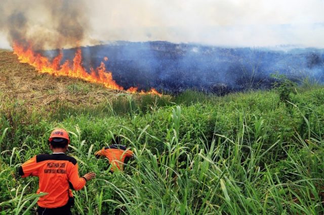 Waspada, Banyak Titik Panas Bermunculan di Sumatera