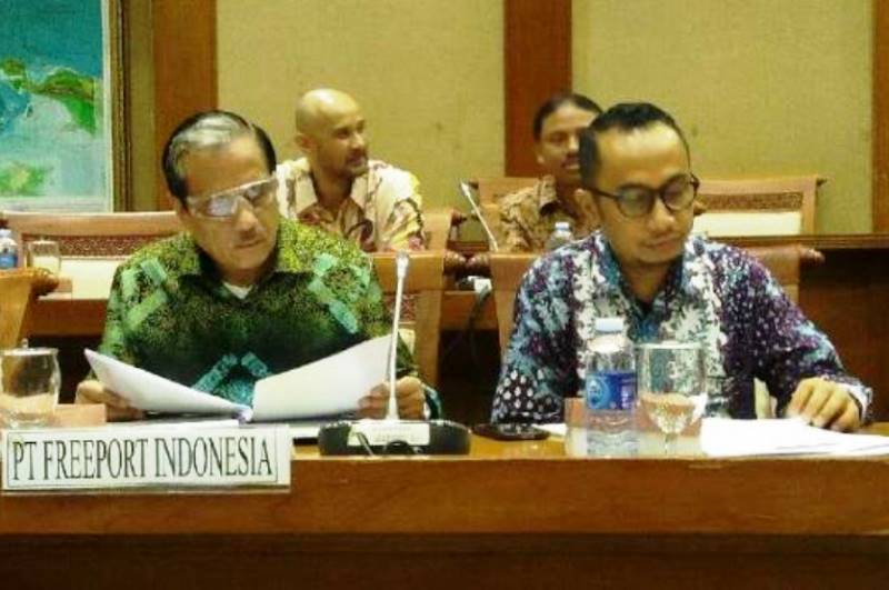 DPR Meminta Chappy Hakim Dipecat dari Freeport Indonesia