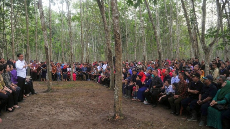 KSP: Reforma Agraria Harus Hasilkan Kekuatan Ekonomi Masyarakat