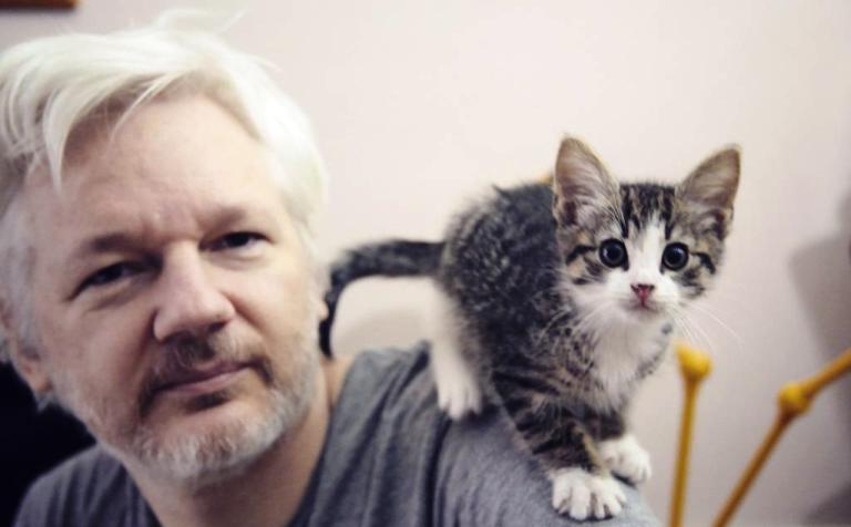 WikiLeaks: CIA Ciptakan Kucing Mata-Mata