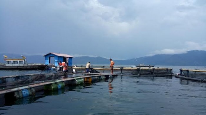 Pencemaran Danau Toba Mencemaskan