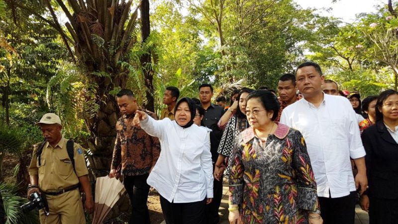 Megawati Sumbangkan Pohon Gayam dan Baobab ke Pemkot Surabaya