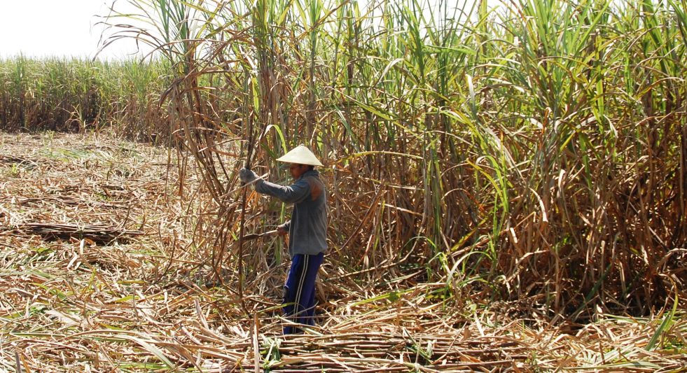 Ketika ‘Prapat’ Gagal Menjadi Penengah Petani