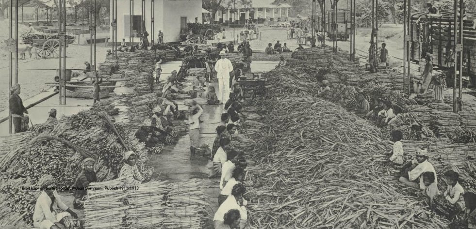 Cultuurstelsel, Cara Kolonial Merampok Jawa