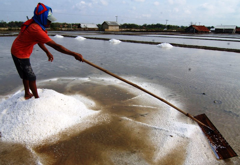Ada Silang-sengkarut Data di Kementerian, Stok Garam Industri Hampir Habis