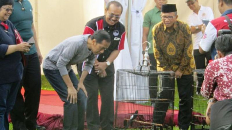 Jokowi: Perputaran Uang di Hobi Burung Capai Rp1,7 Triliun per Tahun