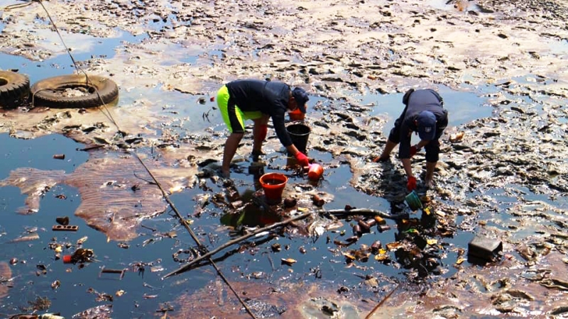 Bencana Tumpahan Minyak di Teluk Balikpapan Tanggung Jawab Siapa?
