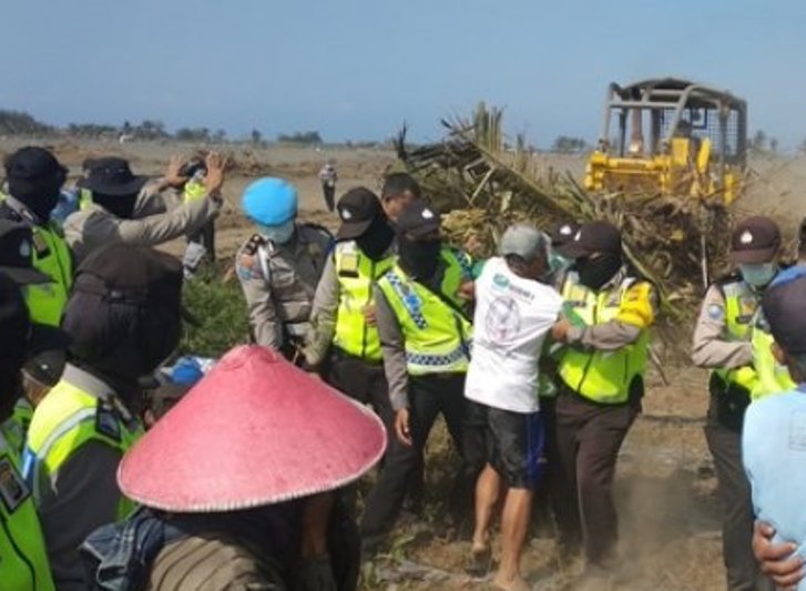 Cegah Land Clearing Proyek NYIA, Warga Kulonprogo Panjat Pohon Kelapa
