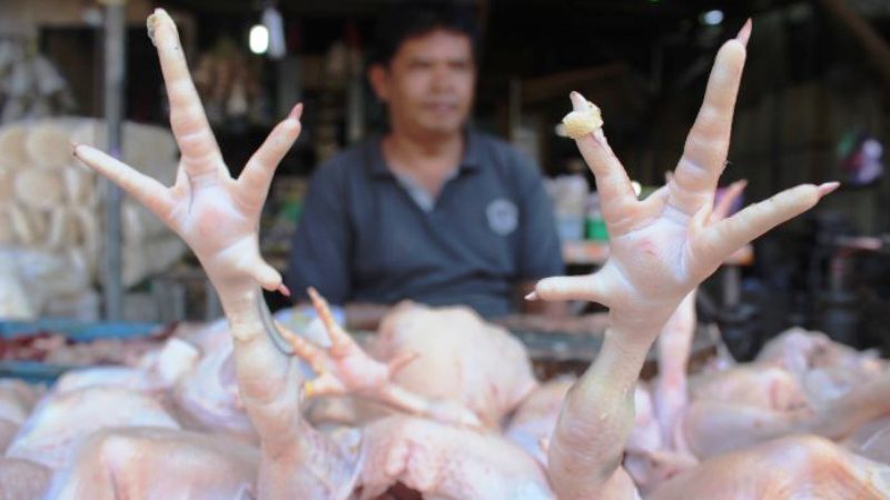 Kementan: Harga Daging Ayam Segera Normal