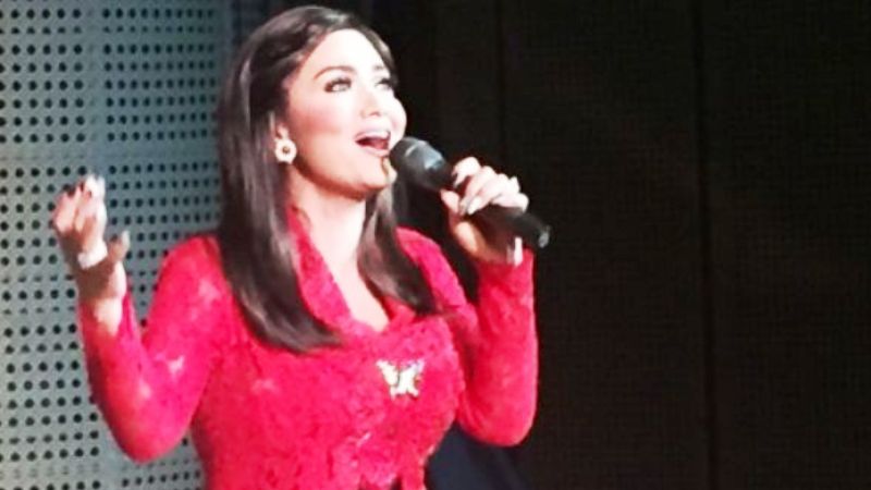 Banyak Artis Nyaleg karena Inspirasi Jokowi?
