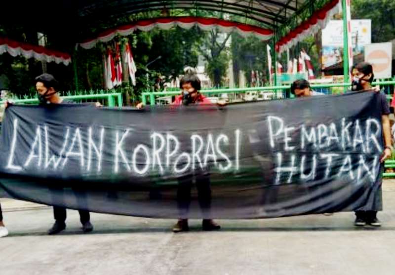 Walhi: Penegakan Hukum Kebakaran Hutan ke Korporasi Masih Minim