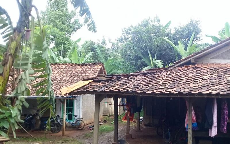 Nasib Pelaku Kecil Pertanian di Desa Memburuk