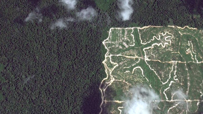 Mengapa Transaksi Lahan Korup Masih Luput dari Radar KPK?