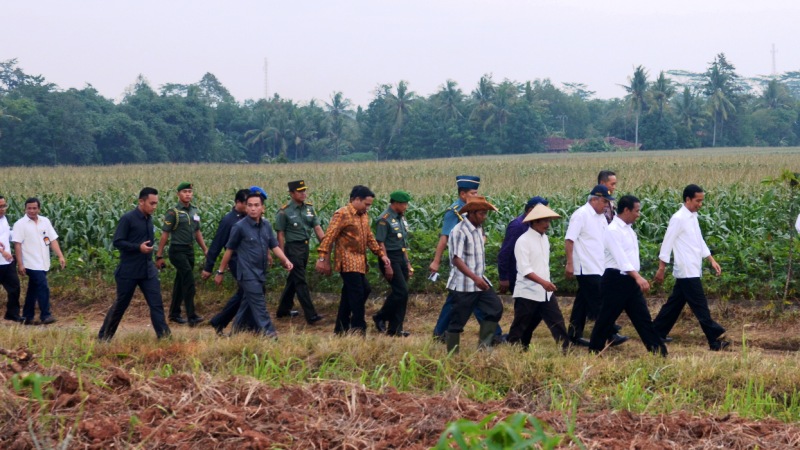 Tata Niaga Pangan Kita Bagaimana?