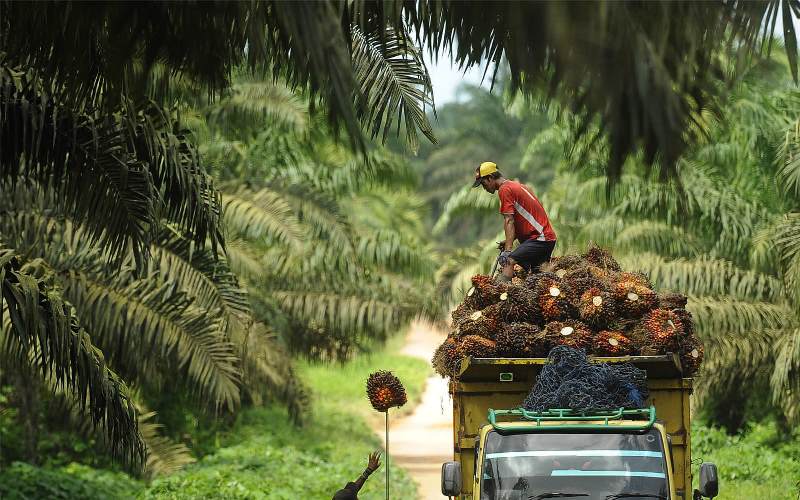 Indonesia Siap-Siap Berperkara Lawan Uni Eropa