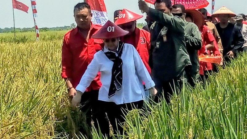 Megawati Resmikan Kebun Raya Kuningan