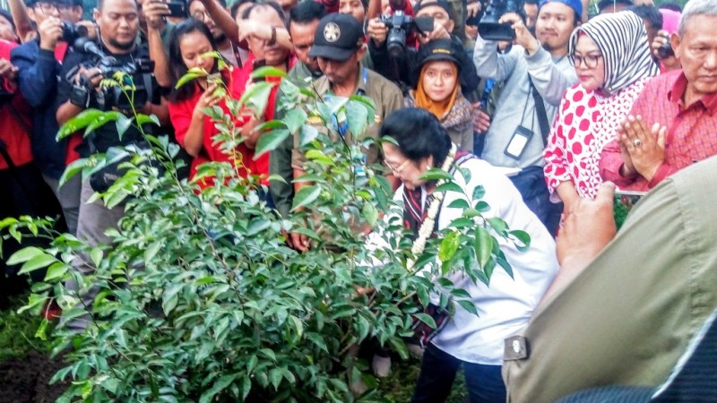 Megawati: Politik itu Membumi dan Menyentuh Hal-hal Elementer