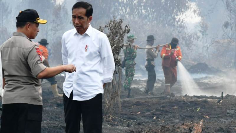 Jumlah Korporasi Tersangka Kebakaran Hutan dan Lahan Bertambah
