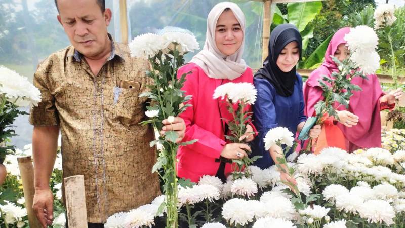 PDI Perjuangan Kembangkan Budidaya Krisan di Aceh