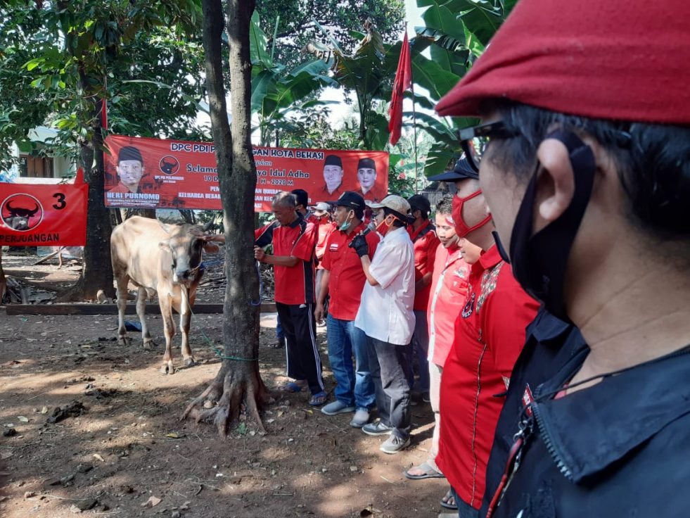 DPC PDIP Kota Bekasi Bagikan Daging Hewan Kurban ke Pengurus PAC dan Anak Ranting