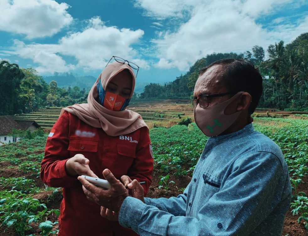 Ujicoba Smartfarming BNI Ditebar di 5 Propinsi