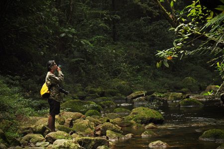 Sigit berburu capung 