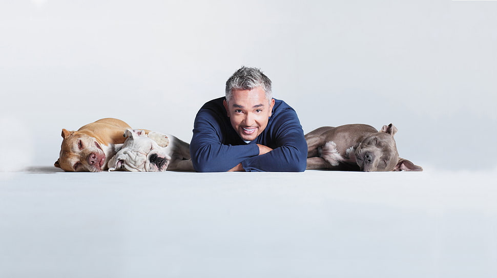 Cesar Millan The Dog Whisperer