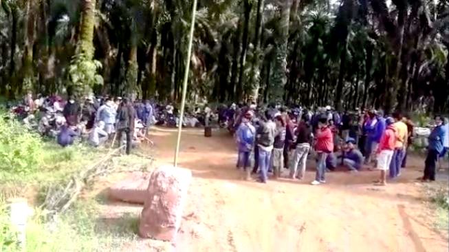 Warga desa Sukamukti, Mesuji, Sumatera Selatan menduduki lahan yang diseorobot oleh PT Treekreasi Marga Mulya.