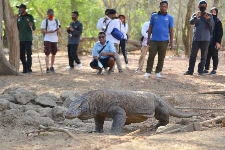 Riuh Kenaikan Harga Tiket TN Komodo