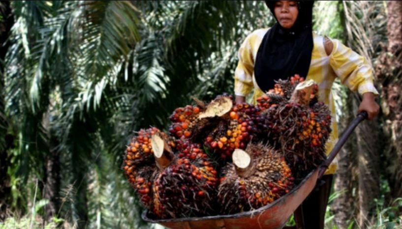 Perdebatan Panjang antara Ibu Rumah Tangga vs Ibu Pekerja