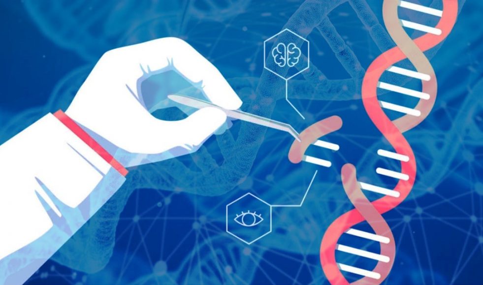 Pengertian GEN dalam Ilmu Biologi