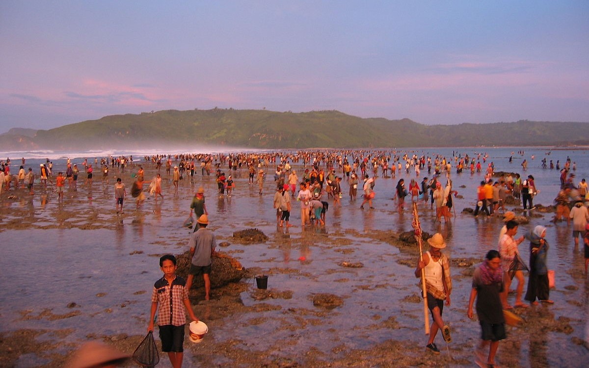 Pesona Warna-Warni Nyale di Festival Pesona Bau Nyale 2024 di Mandalika