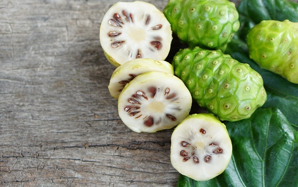 10 Manfaat Mengkudu Untuk Kesehatan