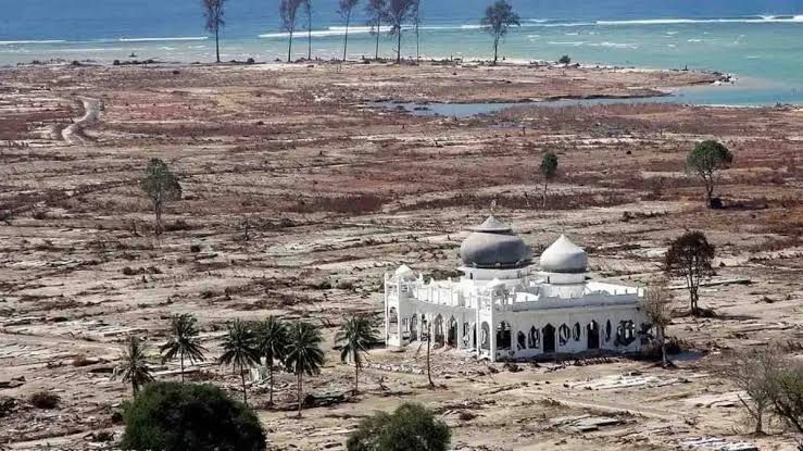 Hari Kesadaran Tsunami Sedunia dan Sejarah Tsunami di Indonesia