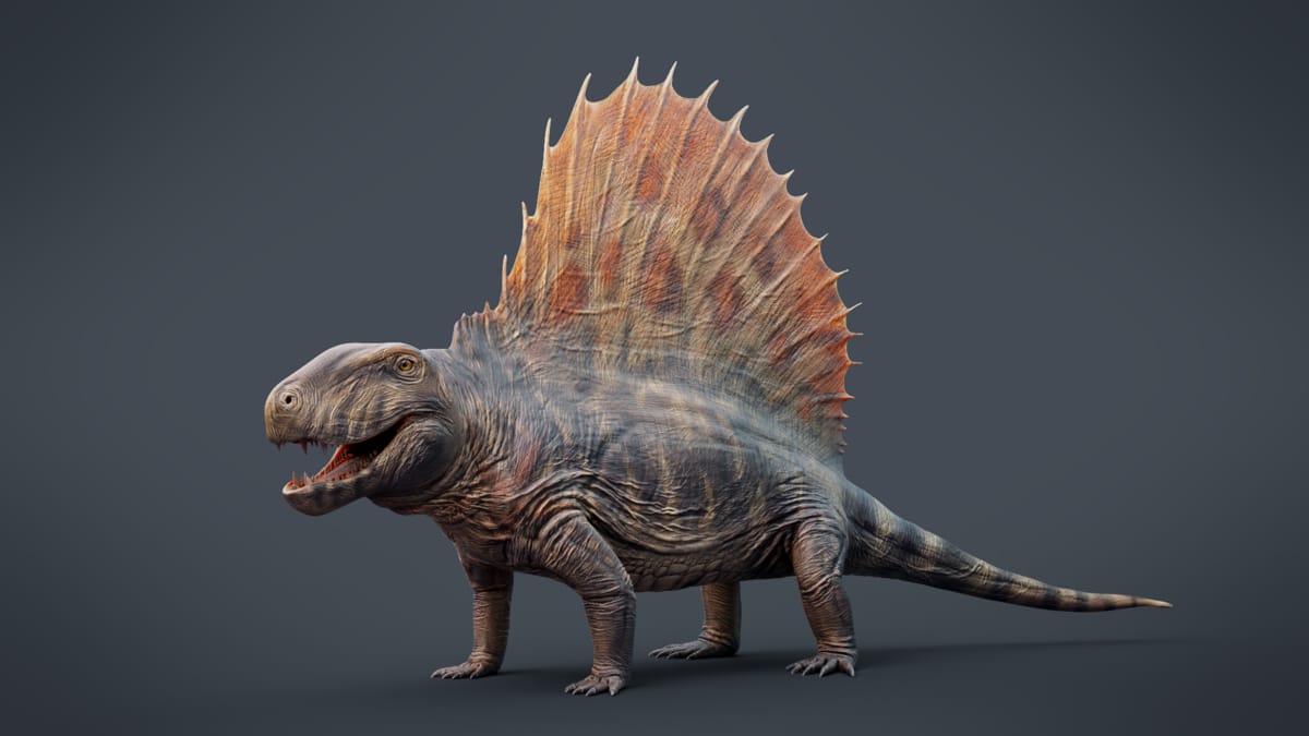 Kebanyakan hewan prasejarah yang hidup sebelum dinosaurus terlihat seperti reptil, tapi ada satu yang ternyata berkerabat dengan manusia. (Sumber: Wikimedia Commons)
