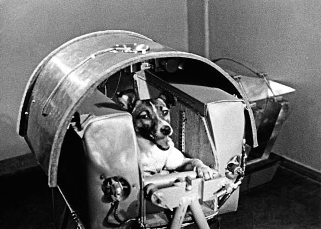 Kisah Tragis Laika, Anjing Antariksa Soviet yang Tewas Saat Diterbangkan ke Orbit Bumi
