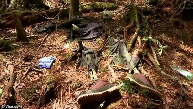 Misteri dan Kengerian di Hutan Aokigahara