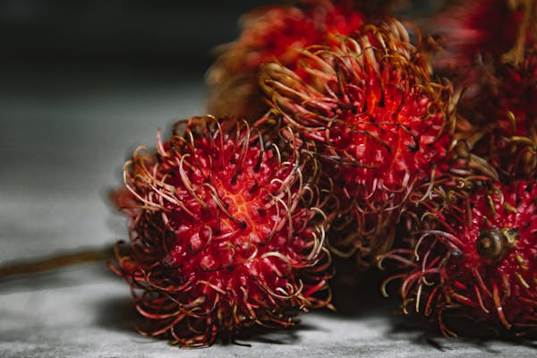 Manfaat dan Keunikan Buah Rambutan, Si Manis yang Kaya Khasiat