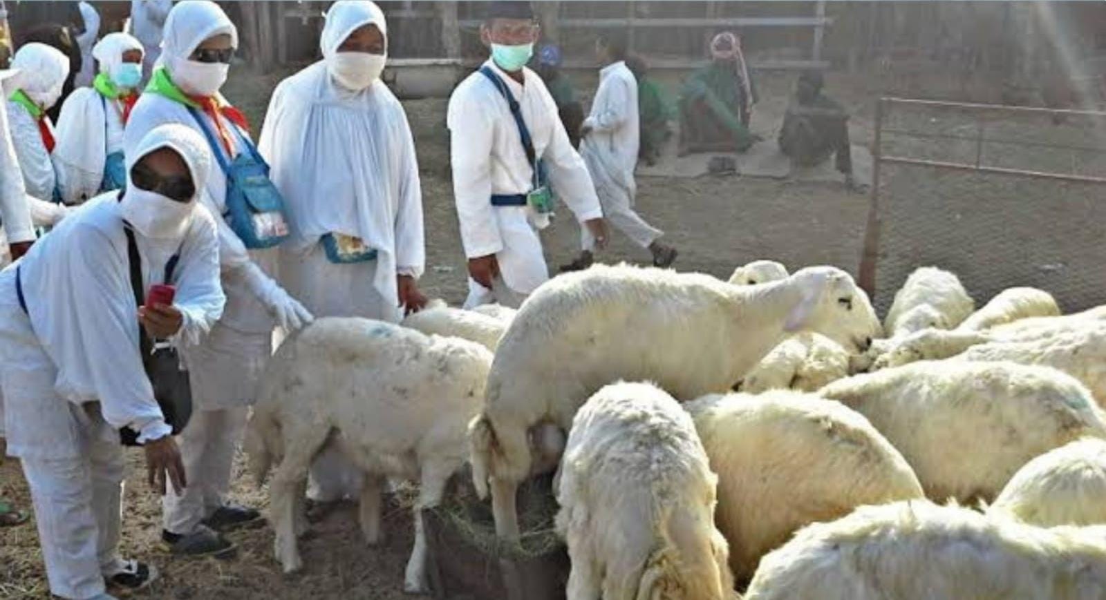 Fatwa Darul Ifta’ Mesir : Dam Haji Tak Harus di Mekkah