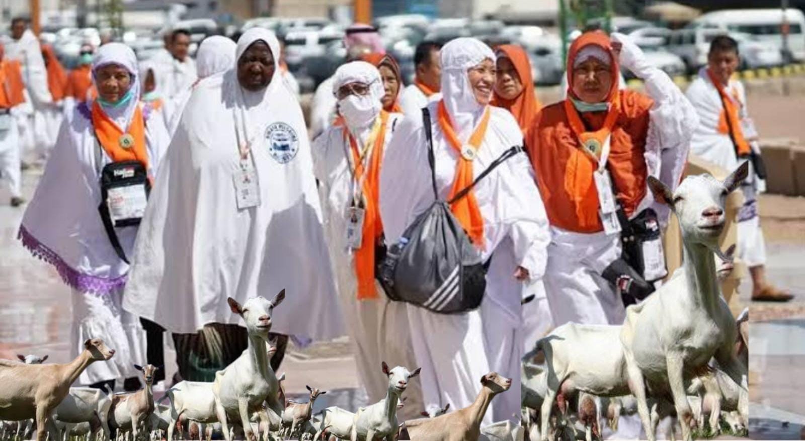 Saatnya Dam Haji di Negeri Sendiri
