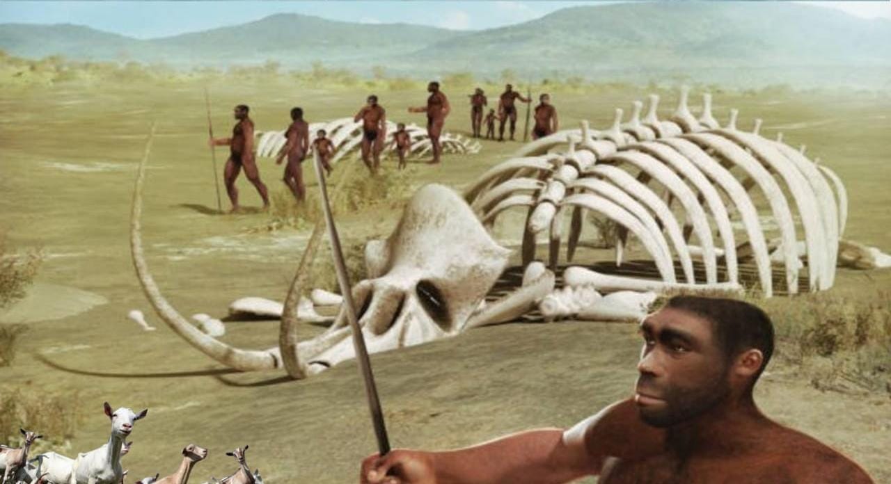 Homo Erectus Purba di Laut Madura