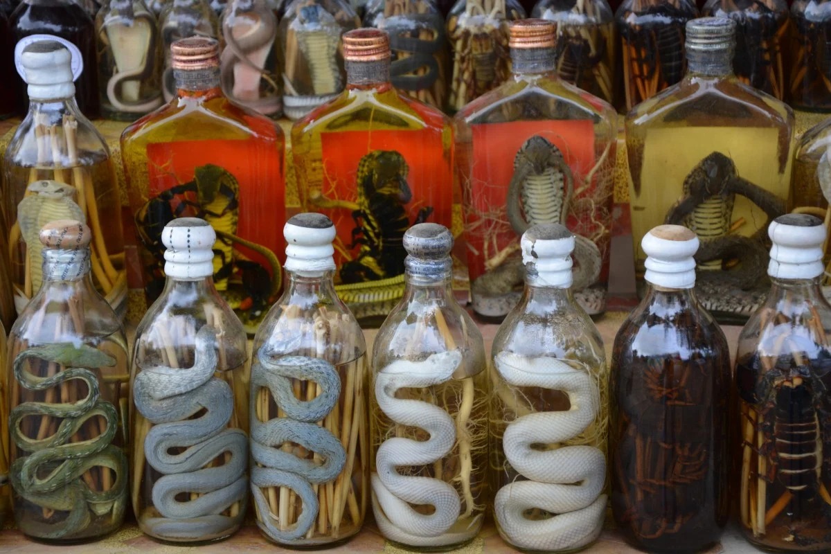 Snake Wine. (Foto: www.scmp.com)