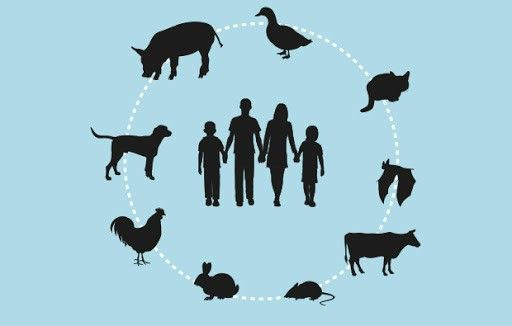 Mengenal Penyakit Menular Zoonosis dan Cara Mencegahnya