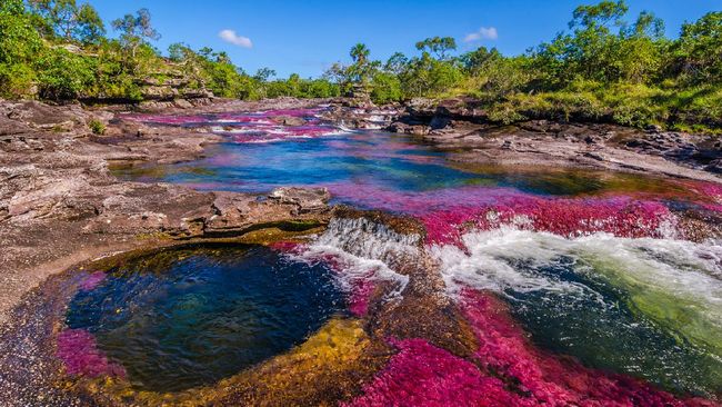 Caño Cristales, Sungai Pelangi di Kolombia