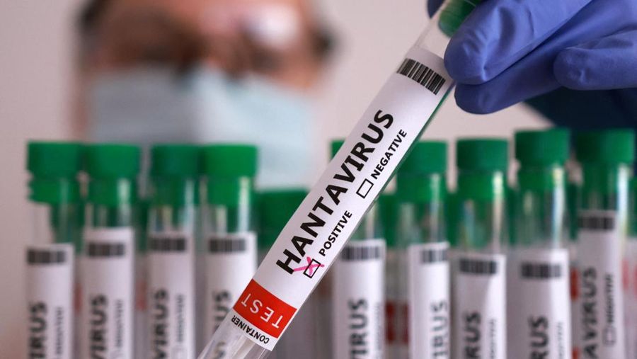WHO Ingatkan Bahaya Hantavirus, Ini Cara Penularan dan Pencegahannya